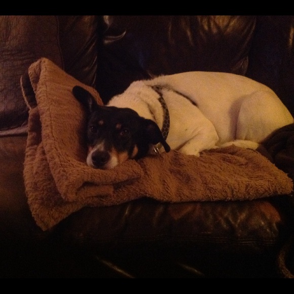 Meet your Posher, Marcy - Picture 1 of 1